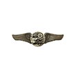 Steampunk Antique Gear Wings Pin